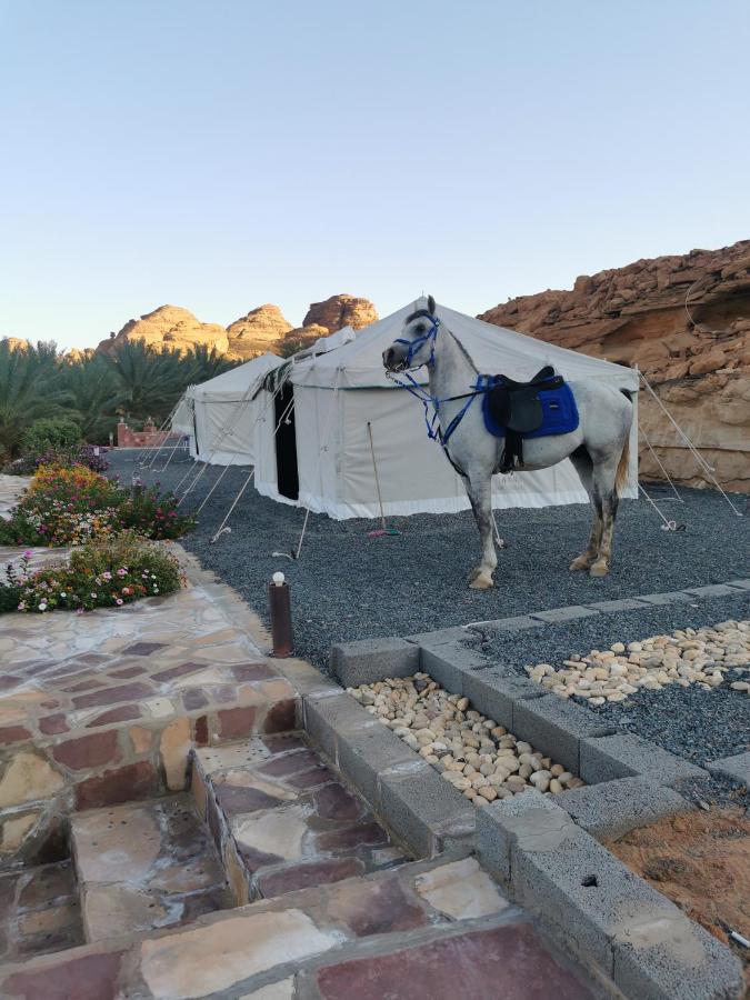 Rural Tents Naseem الخيمةالريفيةalouzaib Al Ula Eksteriør bilde