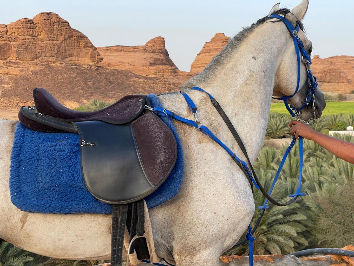 Rural Tents Naseem الخيمةالريفيةalouzaib Al Ula Eksteriør bilde