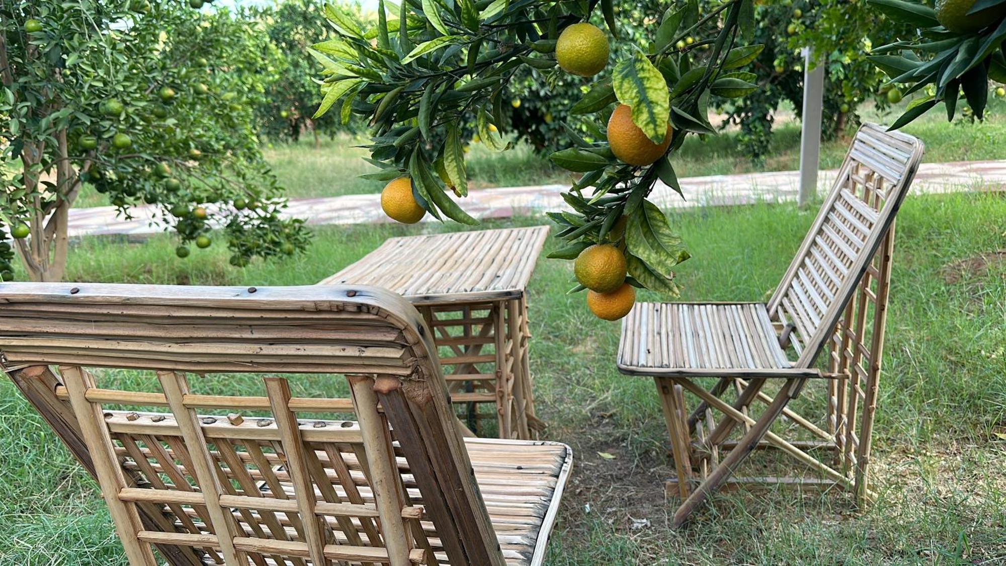 Rural Tents Naseem الخيمةالريفيةalouzaib Al Ula Eksteriør bilde